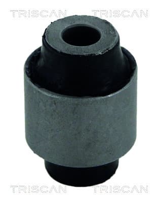 Bussning från TRISCAN