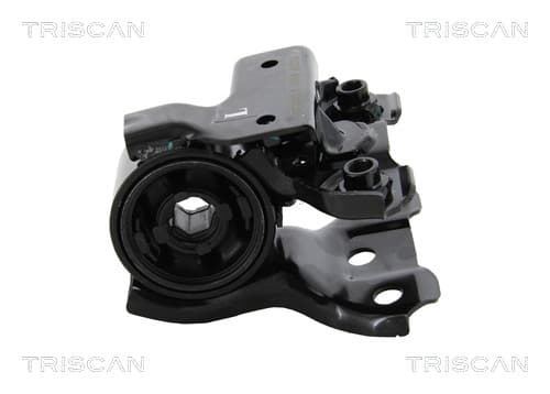 Bussning från TRISCAN