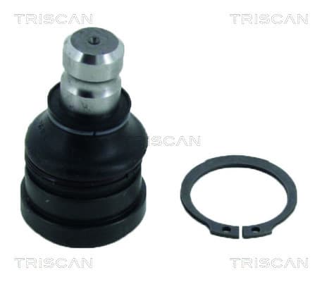 Spindelled nedre