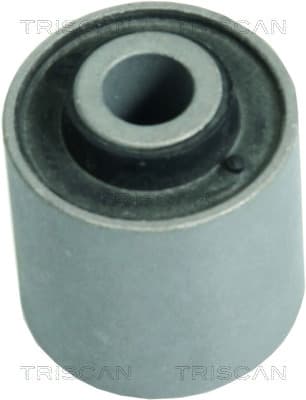 Bussning från TRISCAN