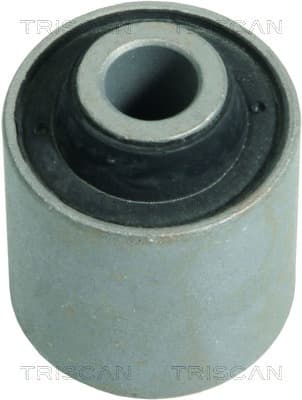 Bussning från TRISCAN