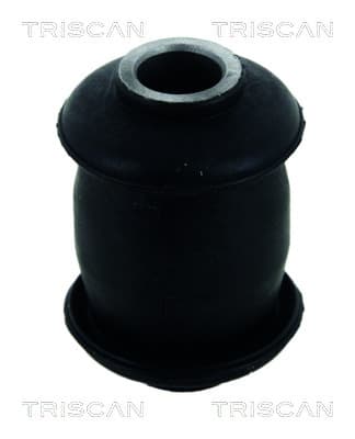 Bussning från TRISCAN