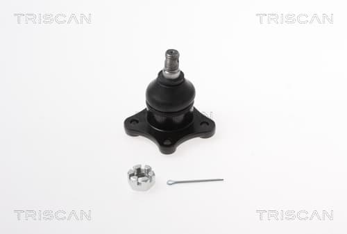 Spindelled övre från TRISCAN