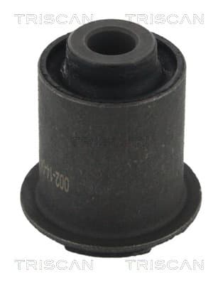 Bussning från TRISCAN