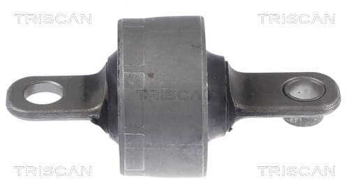 Bussning från TRISCAN