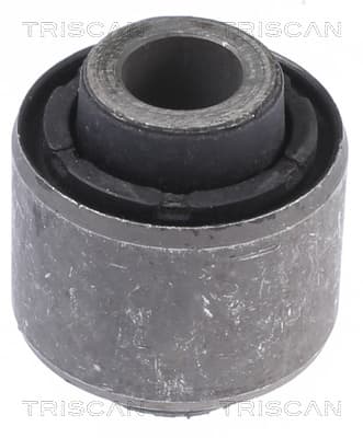 Bussning från TRISCAN