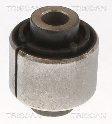 Bussning från TRISCAN