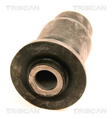Bussning från TRISCAN