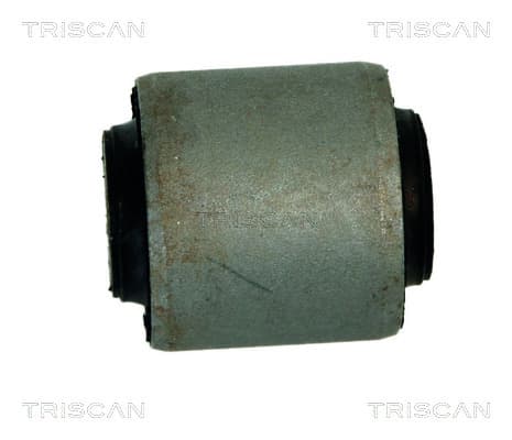 Bussning från TRISCAN