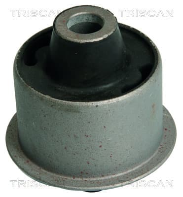 Bussning från TRISCAN