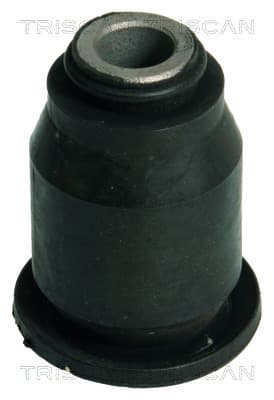 Bussning från TRISCAN