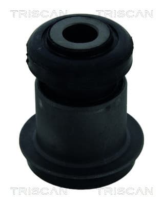 Bussning från TRISCAN