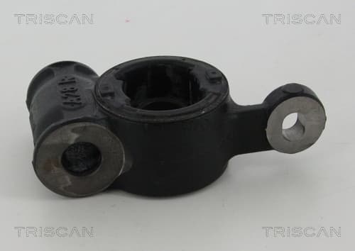 Bussning från TRISCAN