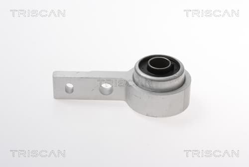 Bussning från TRISCAN