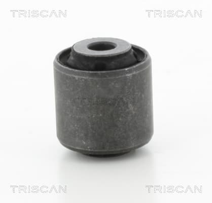 Bussning från TRISCAN