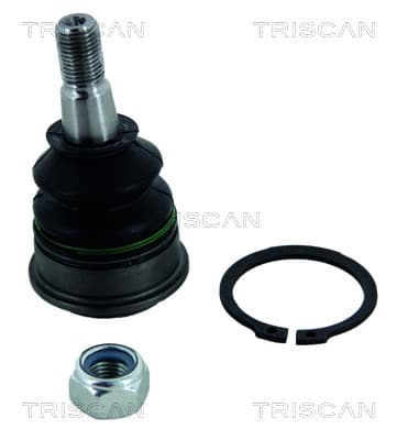 Spindelled nedre