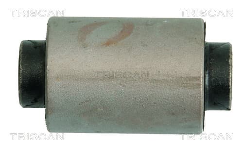 Bussning från TRISCAN