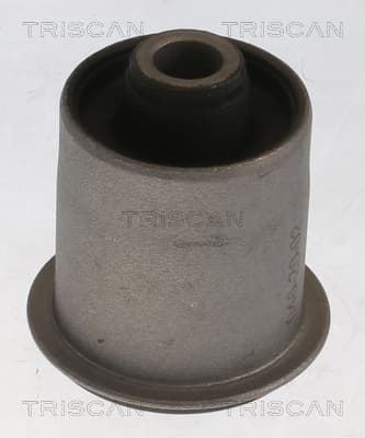 Bussning från TRISCAN