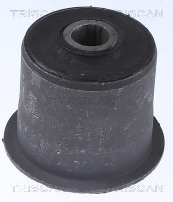 Bussning från TRISCAN