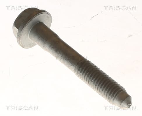 Bult från TRISCAN