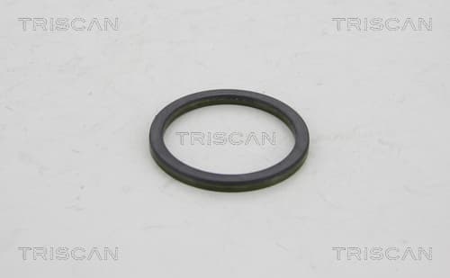 ABS-ring, magnetisk från TRISCAN