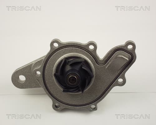 Vattenpump från TRISCAN