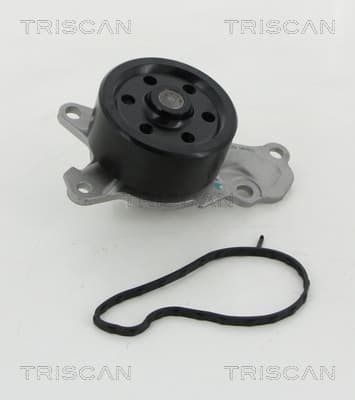Vattenpump från TRISCAN
