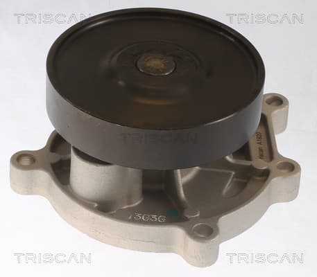 Vattenpump från TRISCAN