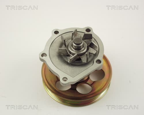 Vattenpump från TRISCAN
