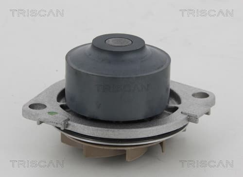 Vattenpump från TRISCAN