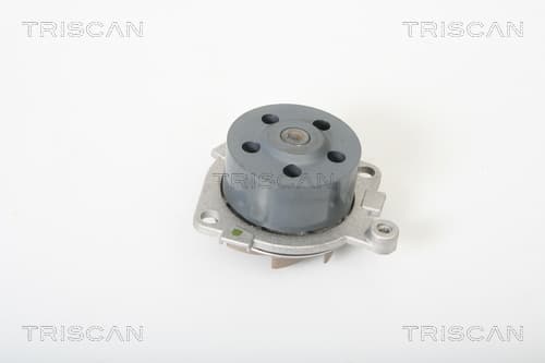 Vattenpump från TRISCAN
