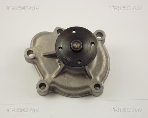 Vattenpump från TRISCAN
