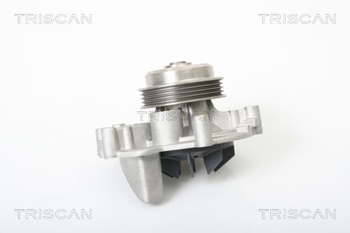 Vattenpump från TRISCAN