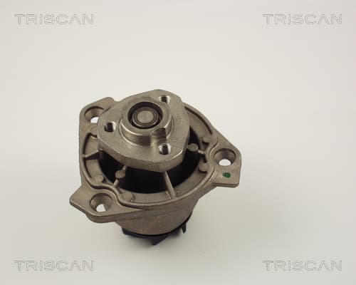 Vattenpump från TRISCAN
