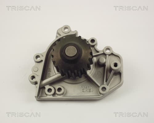 Vattenpump från TRISCAN