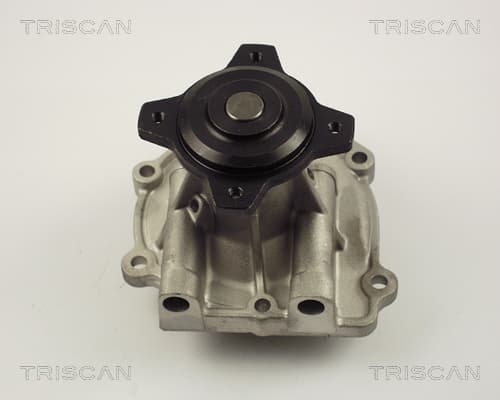 Vattenpump från TRISCAN