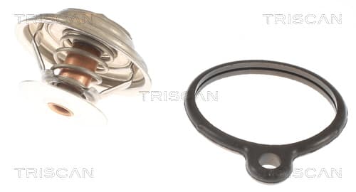 Termostat från TRISCAN