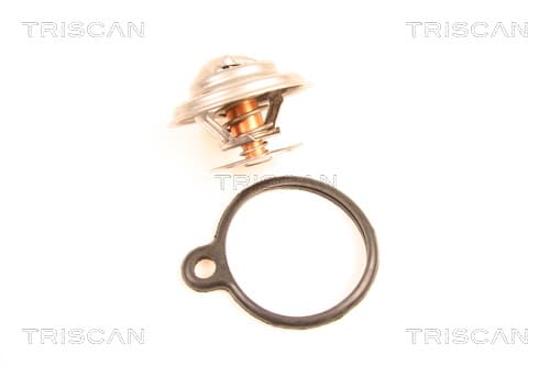 Termostat från TRISCAN