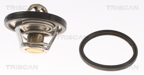 Termostat från TRISCAN