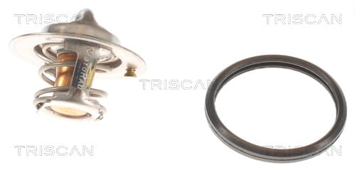 Termostat från TRISCAN