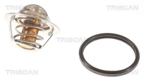 Termostat från TRISCAN