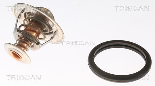 Termostat från TRISCAN