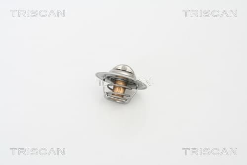 Termostat från TRISCAN