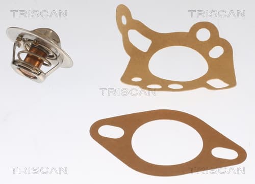 Termostat från TRISCAN