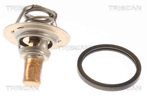 Termostat från TRISCAN