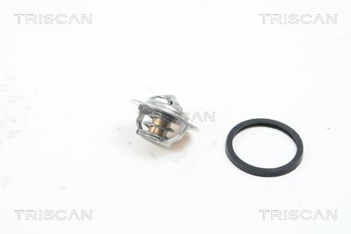 Termostat från TRISCAN