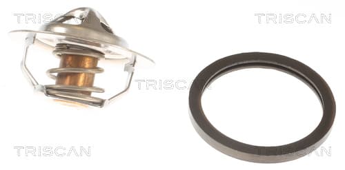 Termostat från TRISCAN