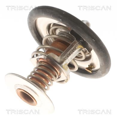 Termostat från TRISCAN
