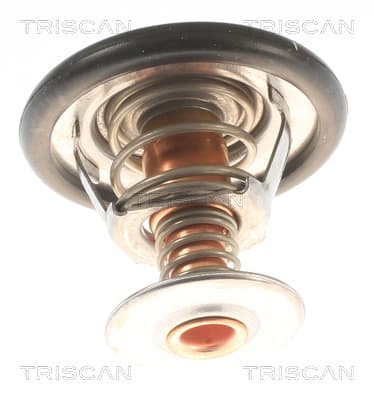 Termostat från TRISCAN