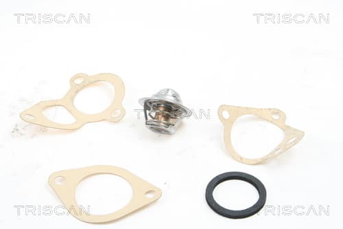 Termostat från TRISCAN